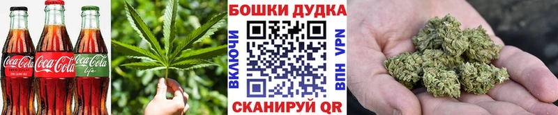 Canna-Cookies марихуана  Камышлов 