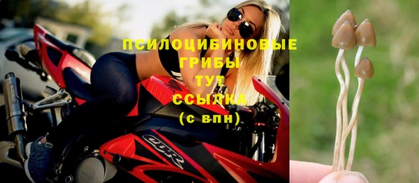 синтетический гашиш Вяземский